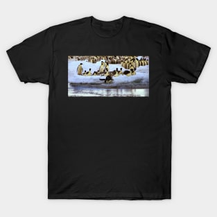 Emperor Penguins Hitting The Water T-Shirt